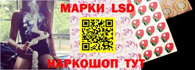 гидра Будённовск