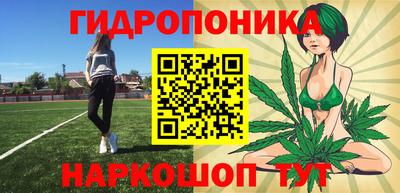 гидра Будённовск
