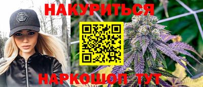 гидра Будённовск