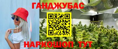 гидра Будённовск