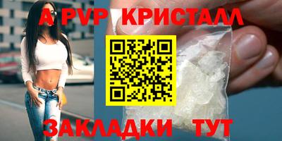 гидра Будённовск